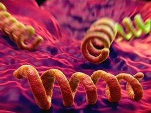 Supporting image for story: Gonorrhoea cases on the increase in the West Midlands