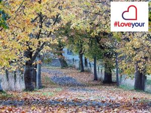 Supporting image for story: Why we are writing a love letter to Wolverhampton - and how you can get involved