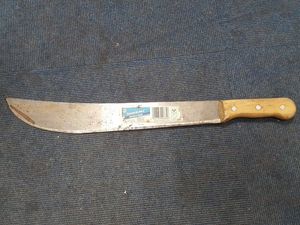 Supporting image for story: Police seized machete from boy, 17, after chase