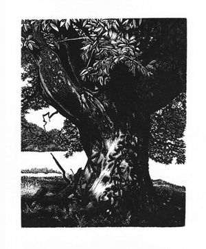 Blaze Cyan's work such as this image of Croft Castle will be on display in Presteigne