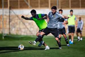 Wolves work hard in Marbella during their warm weather training camp (Photos: Wolves)