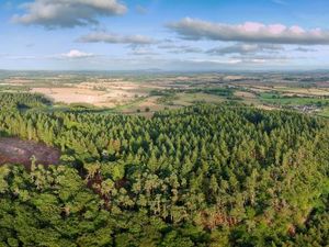 Supporting image for story: First hillfort dig in Shropshire for 40 years
