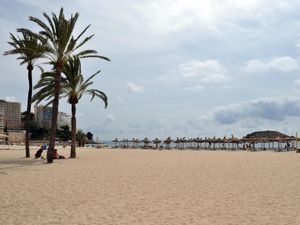 Supporting image for story: Quarantine-free travel countries confirmed