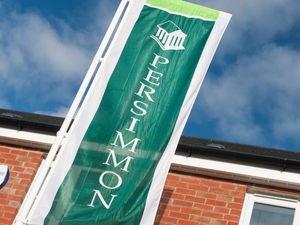 Supporting image for story: Excellent year for builder Persimmon