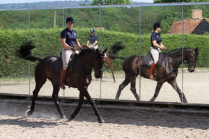 Supporting image for story: Wolverhampton company installs equestrian training mirrors in Qatar