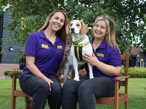 Supporting image for story: Bonnie could be paw-fect for awards