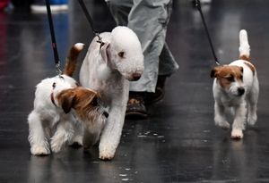 First day of Crufts at the NEC Birmingham.