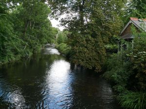 Supporting image for story: Teams work to curb environmental impact from oil spill in chalk stream