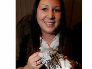 Supporting image for story: Tarantula shock at Willenhall school