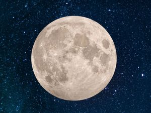 Supporting image for story: Buck Moon: What is the Buck Moon? What could the Buck Moon look like? When is the Buck Moon?