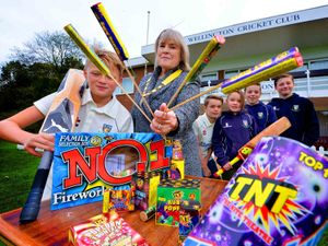 Supporting image for story: Fireworks spectacular for charity