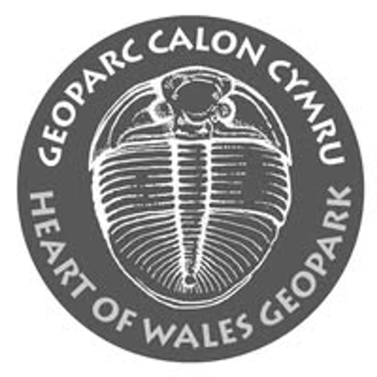 A Powys town councillor has been appointed as the second representative on the Geopark committee A Powys town councillor has been appointed as the second representative on the Geopark committee