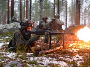 Supporting image for story: Fact check: US contributions to Nato and Green Party bar chart claim