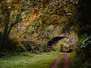 Supporting image for story: Heritage transport links welcome grants announced in the budget