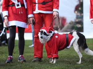 Supporting image for story: 8 of the best pictures from London’s largest Santa run
