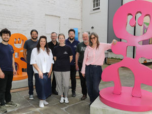 Supporting image for story: In pictures: Huge celebrations for the return of Shrewsbury Arts trail