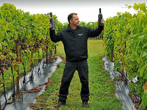 Supporting image for story: Halfpenny Green Vineyard creates 'freak' 15pc wine