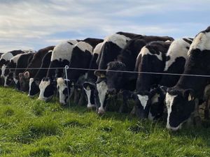 Supporting image for story: Walford reports success despite difficult year