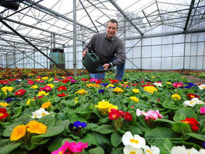 Supporting image for story: Temperatures confusing wildlife