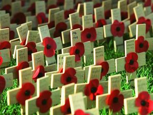 Supporting image for story: Remembrance? First read the terms and conditions.