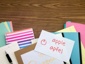 Supporting image for story: Language GCSE take-up much lower in less affluent schools in England – report