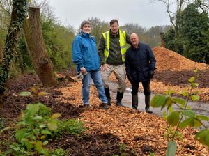 Supporting image for story: Ancient woods in Dudley could take 20 years to recover from tree plague
