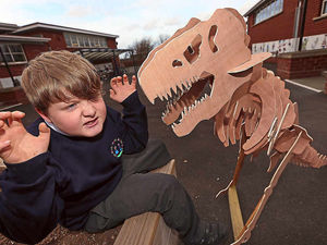 Supporting image for story: No bones about it, Shrewsbury pupil's T-Rex is the best
