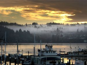 Supporting image for story: Child injured after being attacked and dragged underwater by river otter