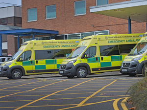 Supporting image for story: Suspending ambulance strikes is 'way of saying thank you to public over support'
