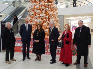 Supporting image for story: Tree of Light is launched in Wolverhampton's Mander Centre