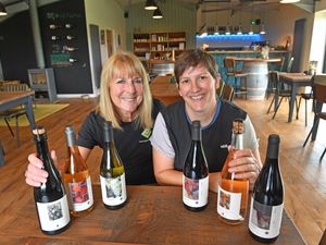 Supporting image for story: 'I run a hidden gem West Midlands vineyard with my husband - we didn't know much about wine making at first, now we produce more then 30,000 bottles a year'