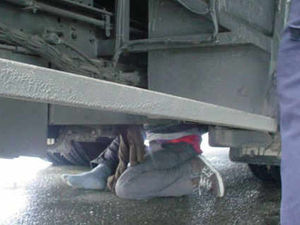 Supporting image for story: Stowaway found on Satfford-bound coach