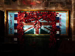 Supporting image for story: Hundreds of knitted red poppies have appeared all over Newport town centre
