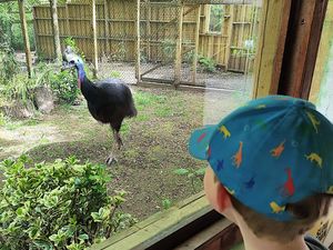 Supporting image for story: Dudley Zoo offering free entry for children during teachers' strikes next week