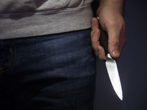 Supporting image for story: Knife amnesty van to tour parts of country ahead of ninja sword ban