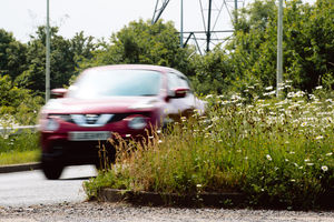 Grass is waist-high on the roundabout near Tesco, Telford heading towards the M54/A5
