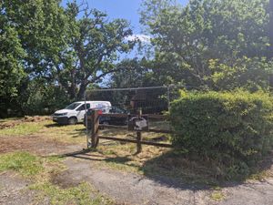 Tidbury Green (Photo credit: Mimi Ibrahim)