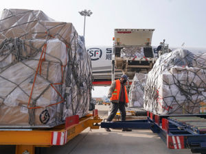 Supporting image for story: Wolves owners Fosun develop kit to detect coronavirus 