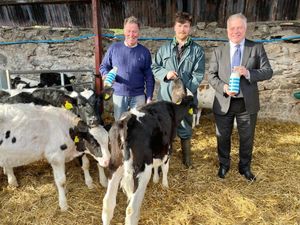 Supporting image for story: Farming family diversifies, with milk and milkshakes sold a mile away in St Martin's store 