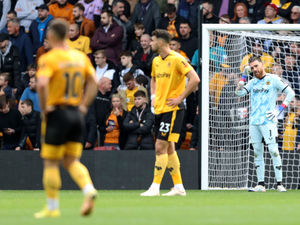 Supporting image for story: Dave Edwards: Wake up! - Wolves are sleepwalking to the drop