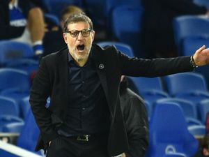 Supporting image for story: Slaven Bilic: Albion are in a gunfight but can survive
