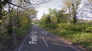 Supporting image for story