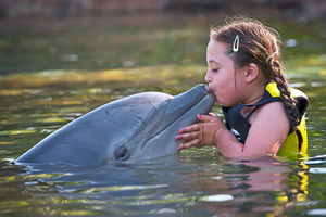 Lilly-May gives a dolphin a loving kiss