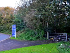 Supporting image for story: Wolverhampton traveller transit site backed by planners despite strong protests