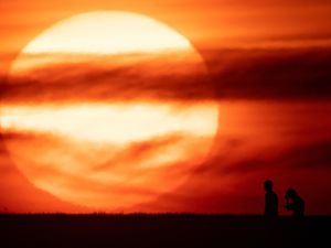 Supporting image for story: Shropshire heatwave: Met Office's first ever red warning for extreme heat