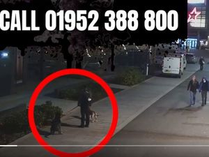 Supporting image for story: Council releases video as it looks to track down owner who let dog foul in Telford town centre