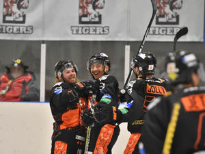 Supporting image for story: Table-topping Telford Tigers have work to do in the cup