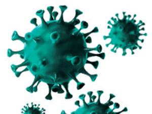 Supporting image for story: LETTER: Let’s make Covid passport system work to benefit all