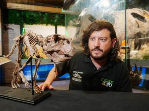Supporting image for story: Fossil festival with dino expert announced for Telford - with free entry for kids under 2