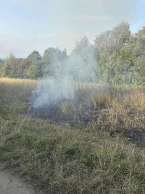 A picture of the grass fire from last night at Sedgley Beacon